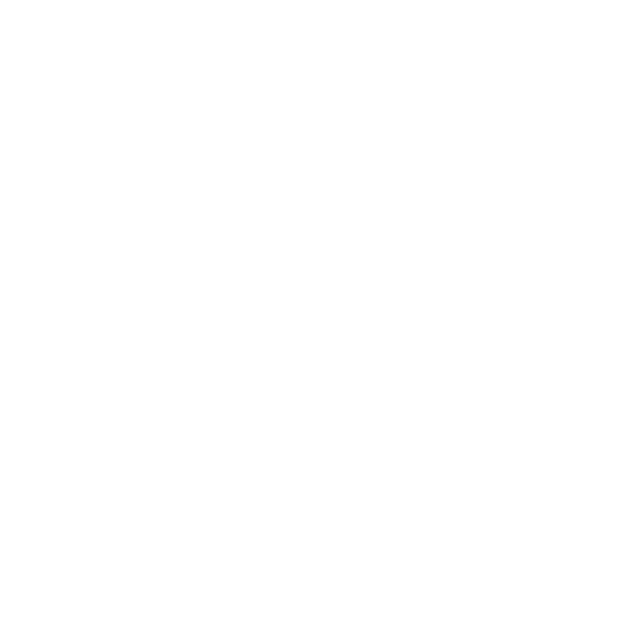 Desert Boys Electric